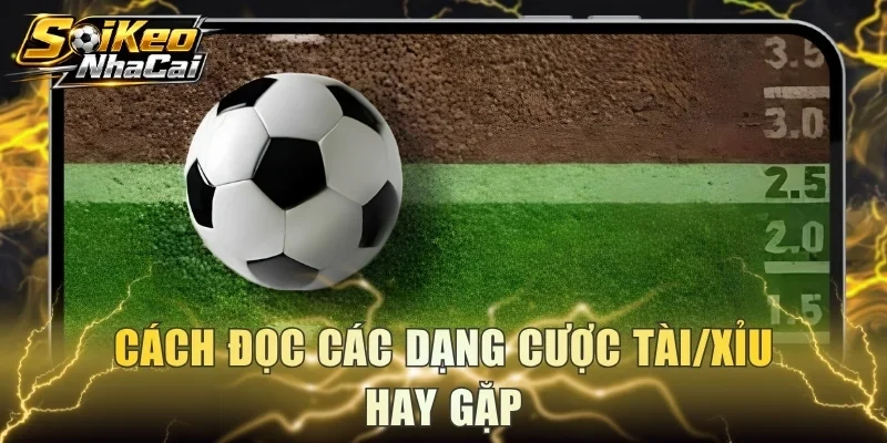 Cách đọc các dạng cược Tài/Xỉu hay gặp