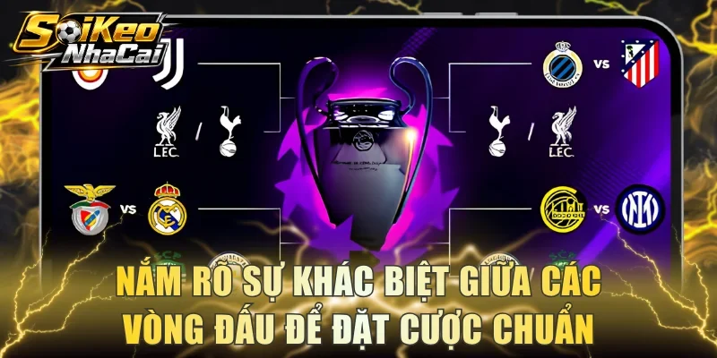 Nắm rõ sự khác biệt giữa các vòng đấu để đặt cược chuẩn