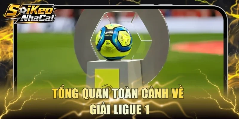Tổng quan toàn cảnh về giải Ligue 1